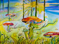 Fly Agaric